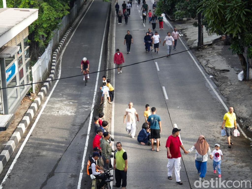 Oknum ASN Tebang Pohon di Kebayoran Lama Terancam Hukuman Disiplin